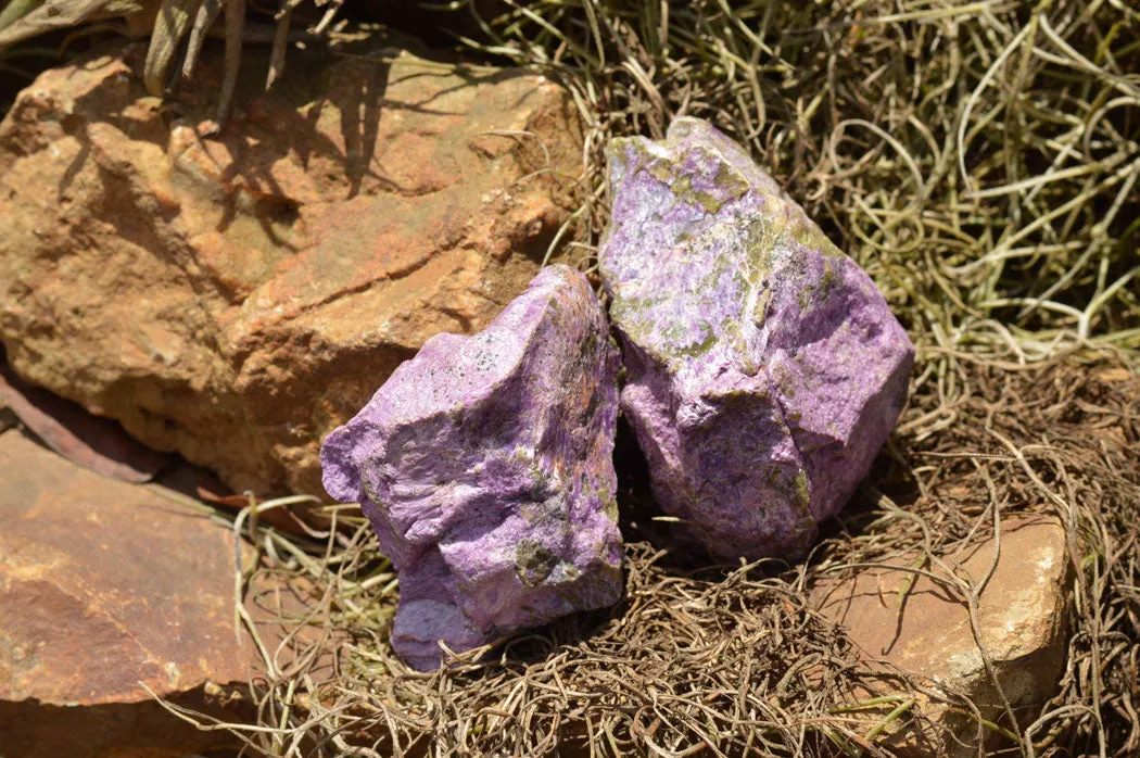 Natural Selected Purple Stichtite Specimens x 21 From Barberton, South Africa