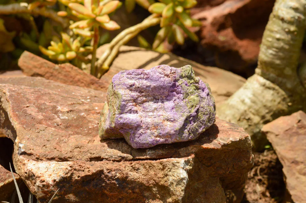 Natural Selected Purple Stichtite Specimens x 21 From Barberton, South Africa