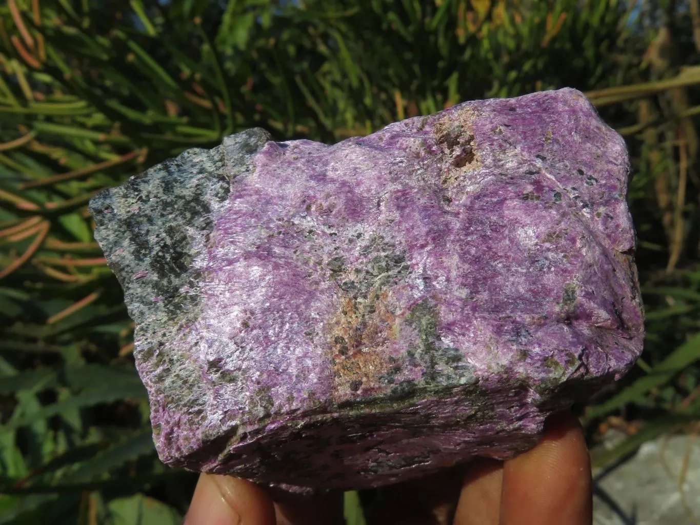 Natural Selected Rare Stichtite & Green Serpentine Specimens x 12 From Barberton, South Africa