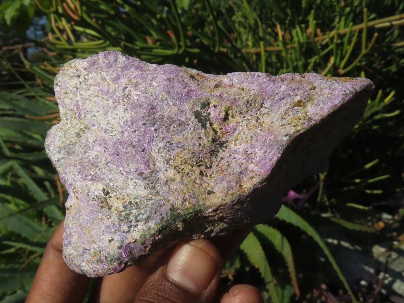 Natural Selected Rare Stichtite & Green Serpentine Specimens x 12 From Barberton, South Africa