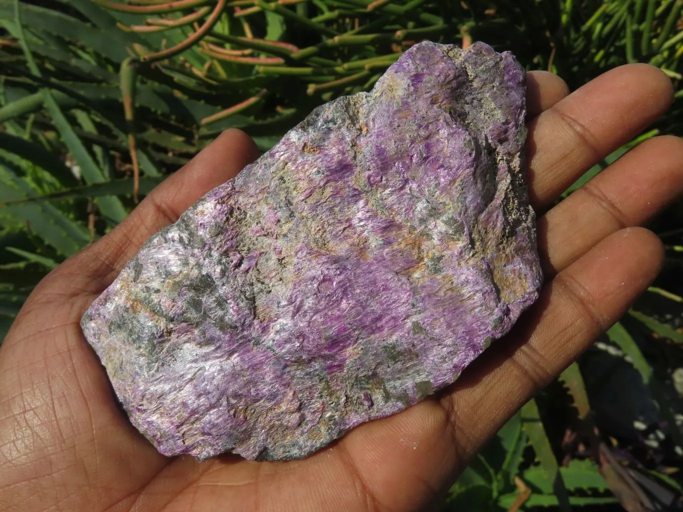 Natural Selected Rare Stichtite & Green Serpentine Specimens x 12 From Barberton, South Africa