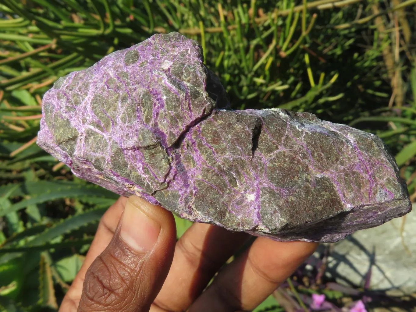 Natural Selected Rare Stichtite & Green Serpentine Specimens x 12 From Barberton, South Africa