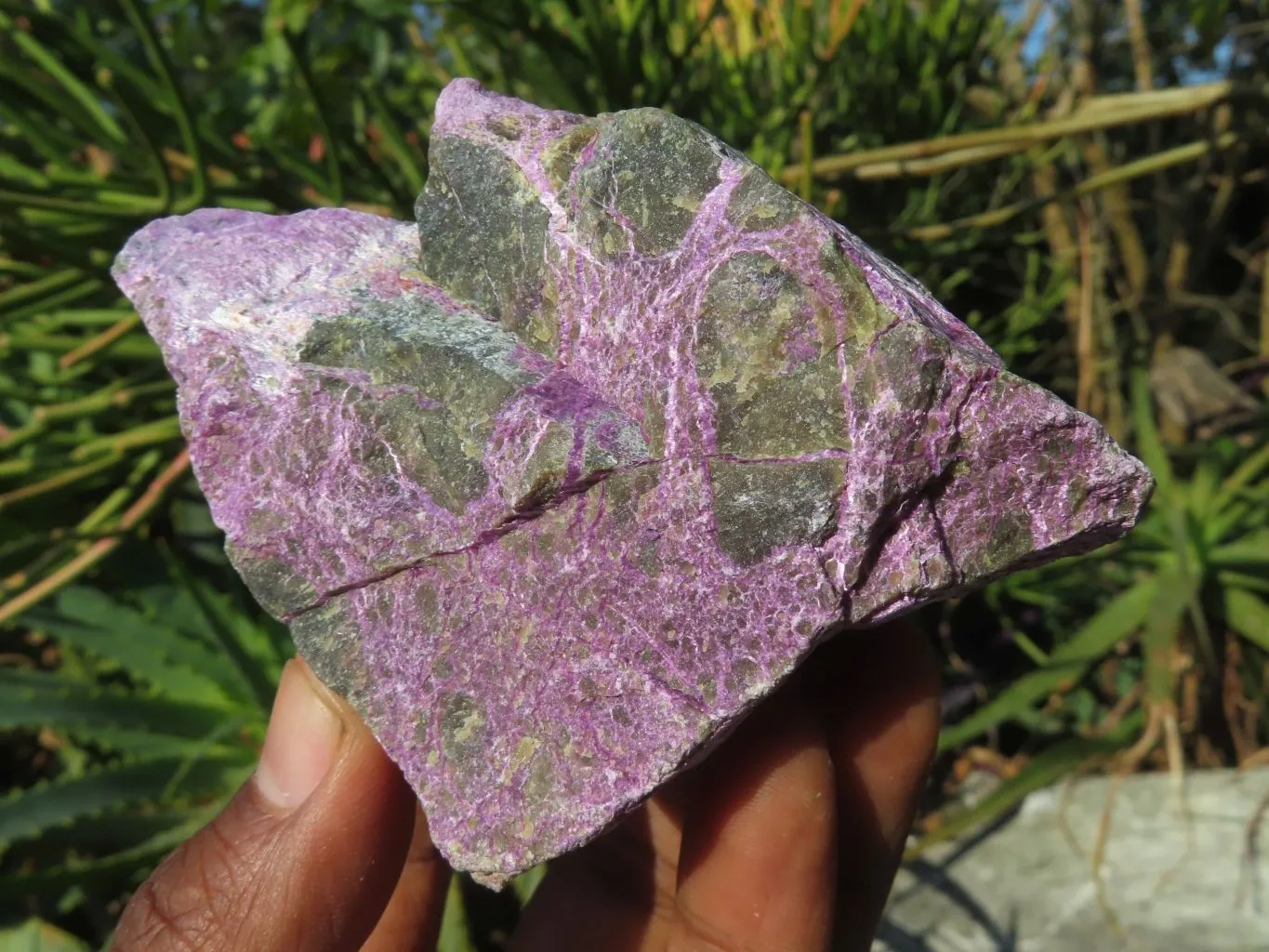 Natural Selected Rare Stichtite & Green Serpentine Specimens x 12 From Barberton, South Africa