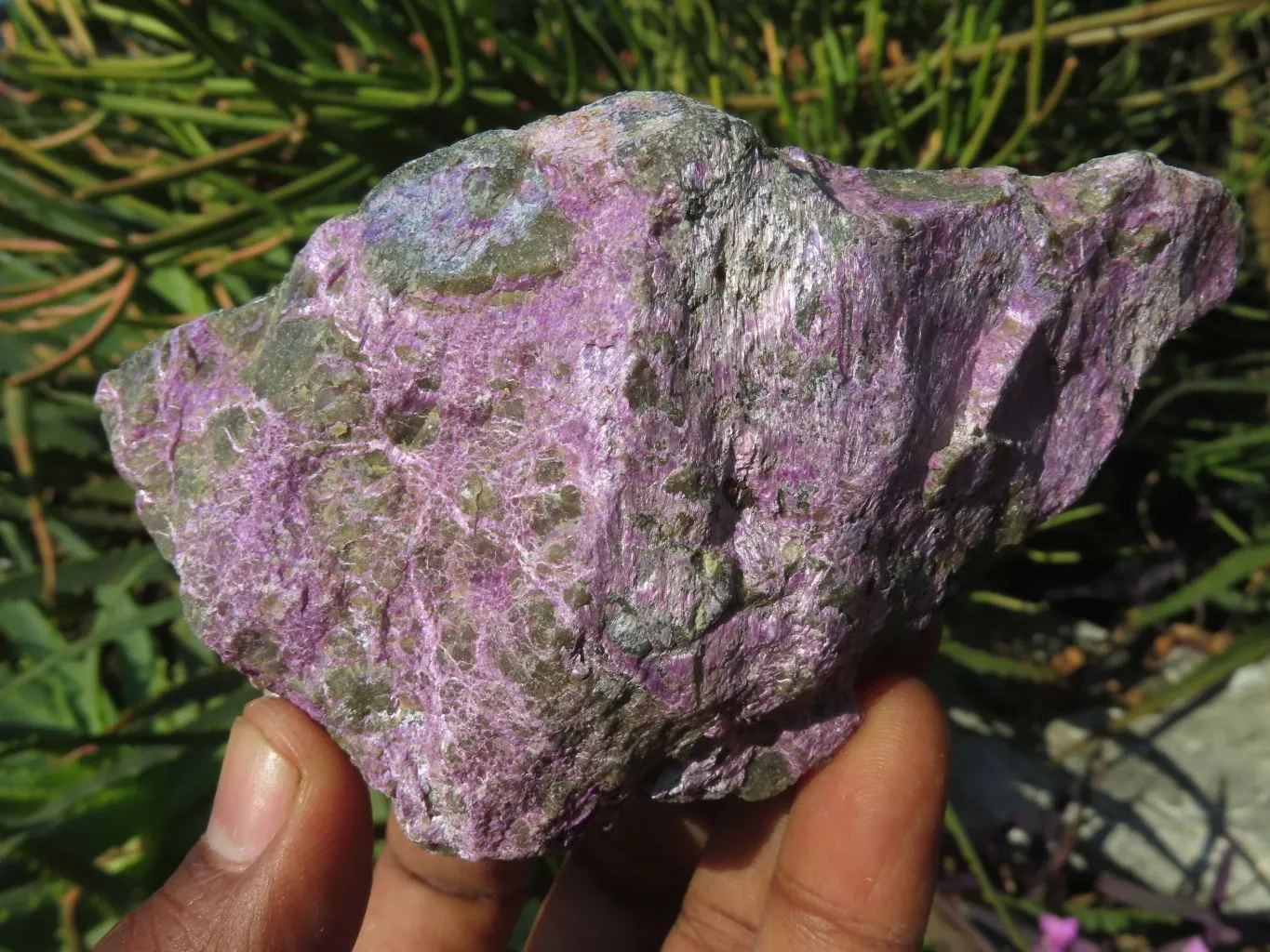 Natural Selected Rare Stichtite & Green Serpentine Specimens x 12 From Barberton, South Africa