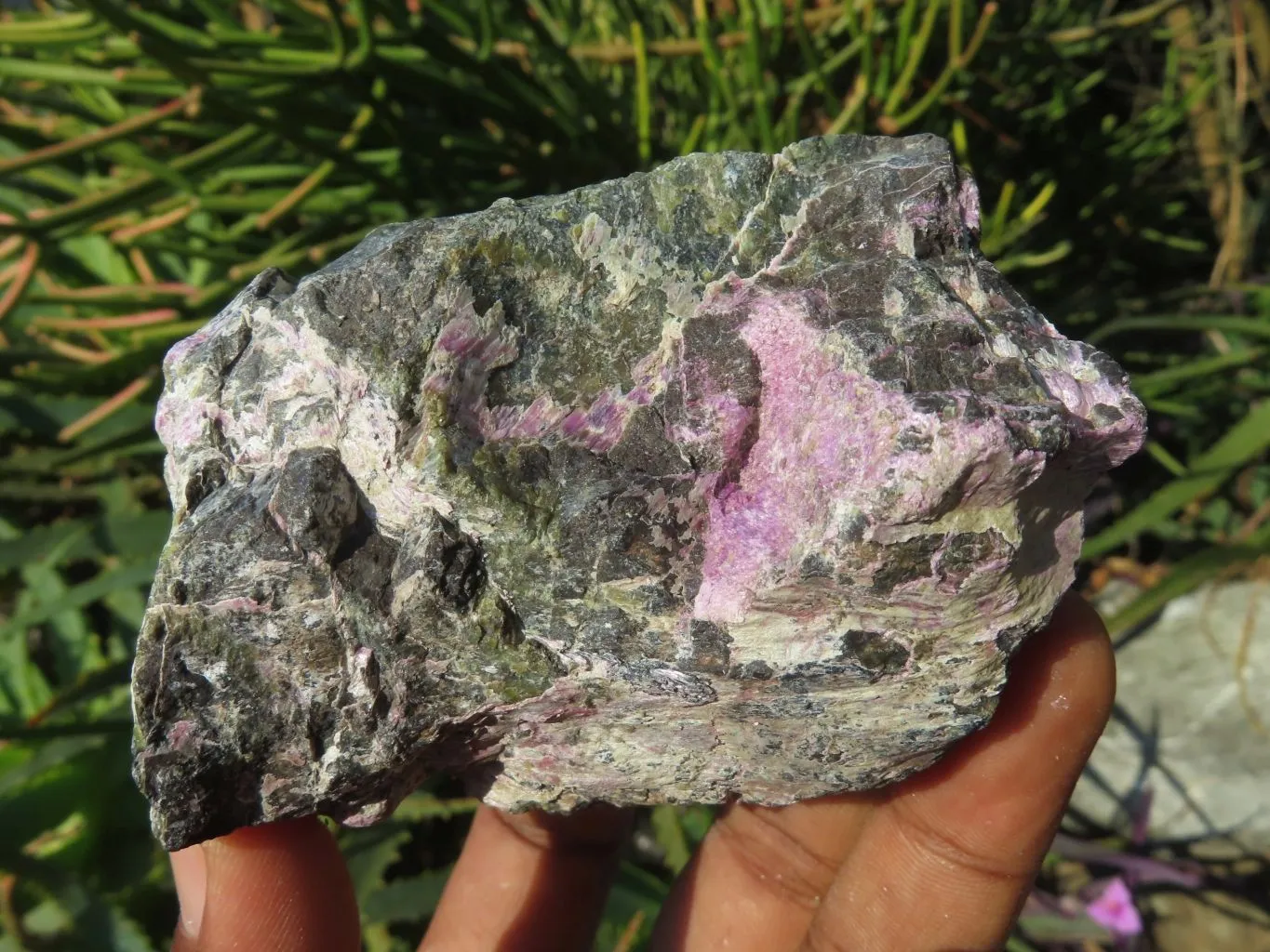 Natural Selected Rare Stichtite & Green Serpentine Specimens x 12 From Barberton, South Africa