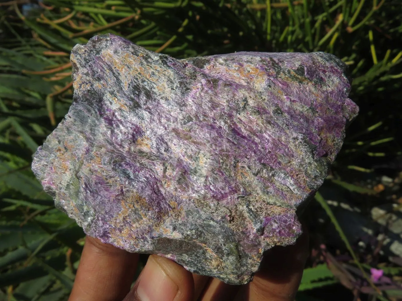 Natural Selected Rare Stichtite & Green Serpentine Specimens x 12 From Barberton, South Africa