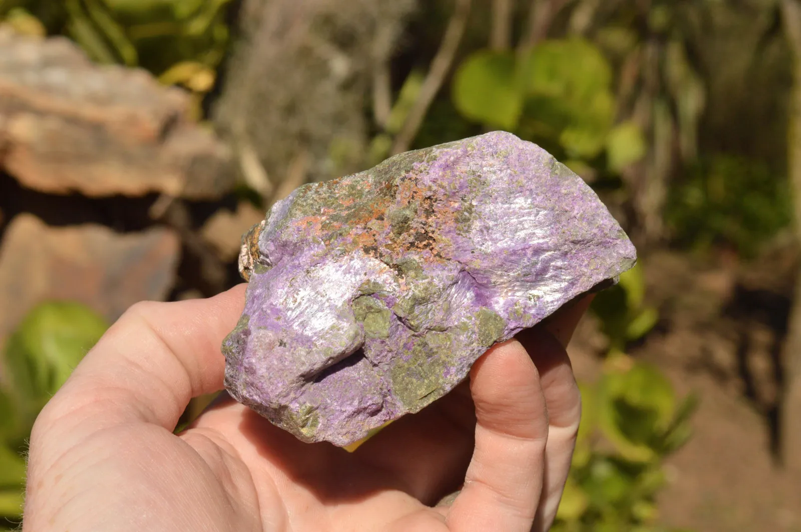 Natural Selected Stichtite & Green Serpentine Cobbed Specimens x 12 From Barberton, South Africa