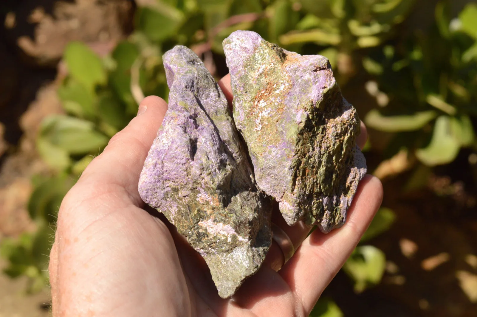 Natural Selected Stichtite & Green Serpentine Cobbed Specimens x 12 From Barberton, South Africa