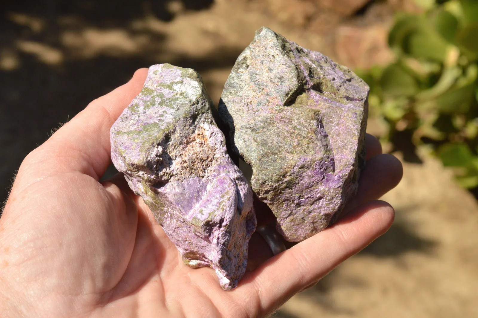 Natural Selected Stichtite & Green Serpentine Cobbed Specimens x 12 From Barberton, South Africa