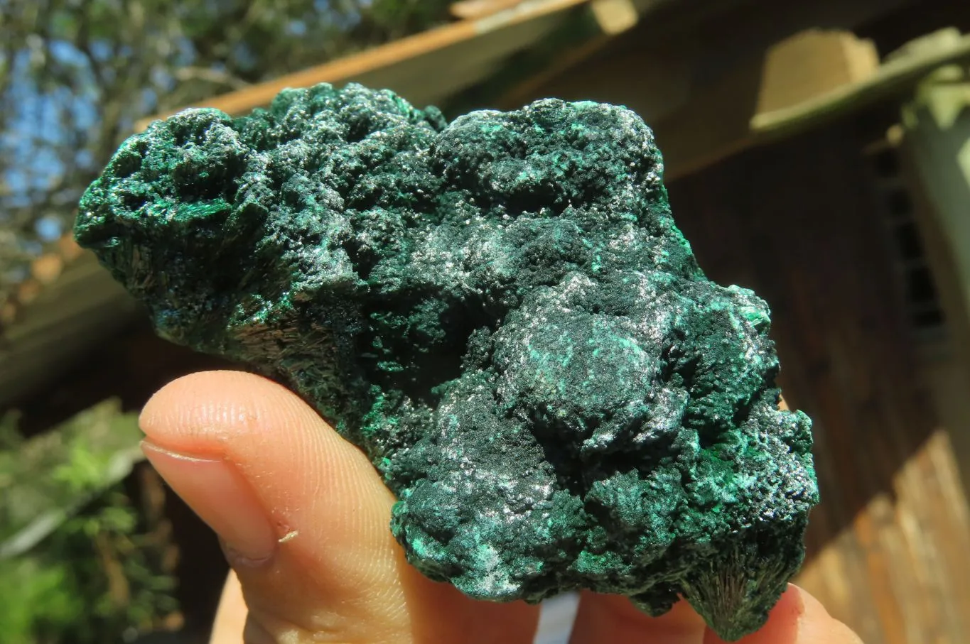 Natural Silky Malachite Specimens x 13 From Kasompe, Congo