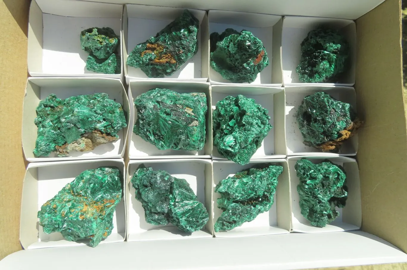 Natural Silky Malachite Specimens x 13 From Kasompe, Congo