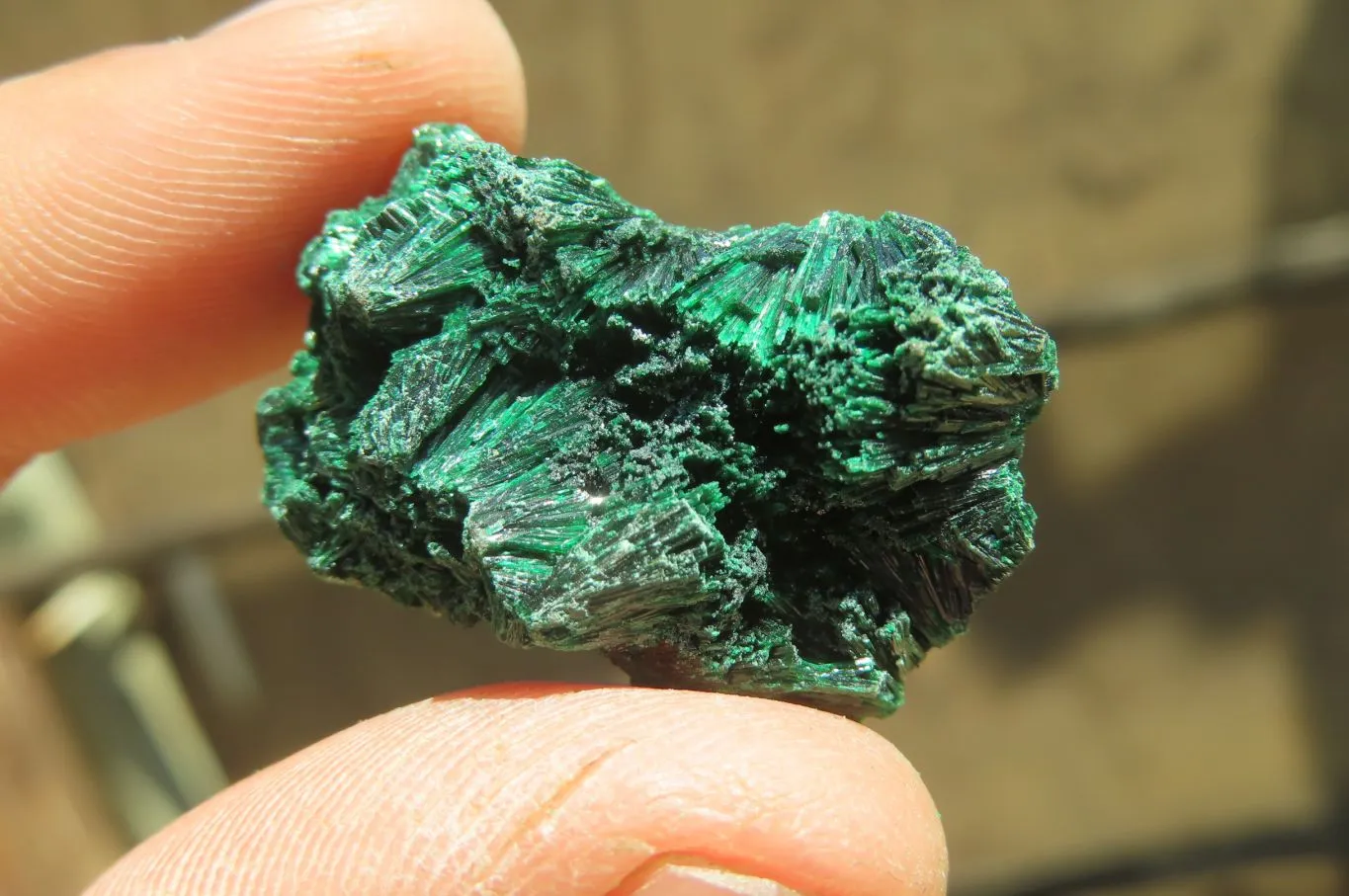 Natural Silky Malachite Specimens x 13 From Kasompe, Congo