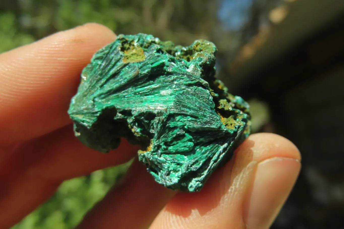 Natural Silky Malachite Specimens x 13 From Kasompe, Congo