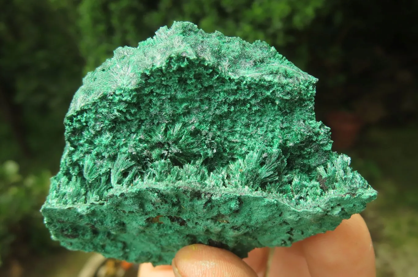 Natural Silky Malachite Specimens x 5 From Kasompe, Congo