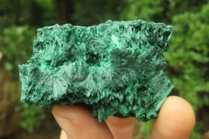 Natural Silky Malachite Specimens x 5 From Kasompe, Congo