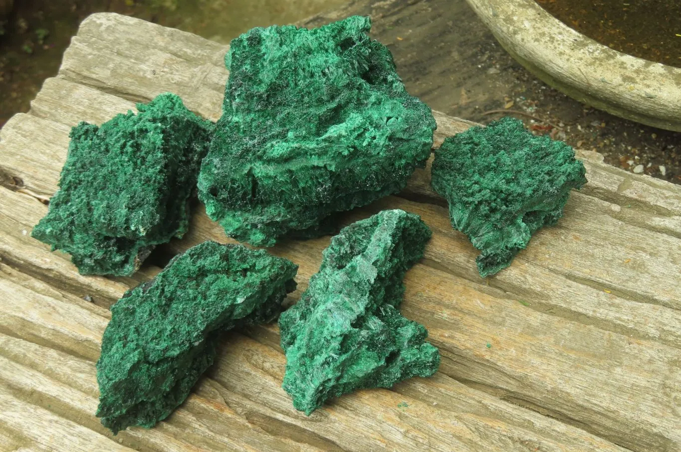 Natural Silky Malachite Specimens x 5 From Kasompe, Congo