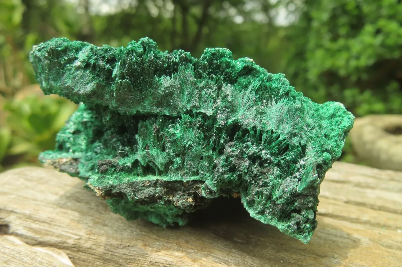 Natural Silky Malachite Specimens x 5 From Kasompe, Congo