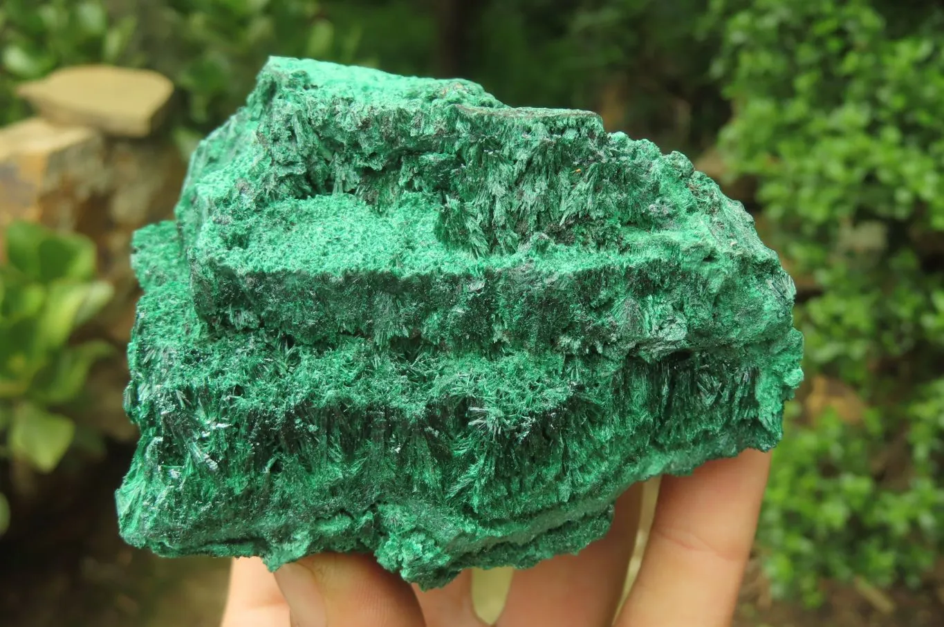 Natural Silky Malachite Specimens x 5 From Kasompe, Congo