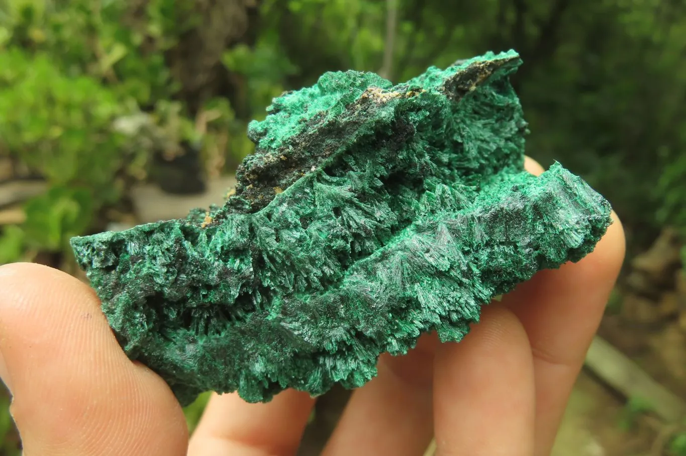 Natural Silky Malachite Specimens x 5 From Kasompe, Congo