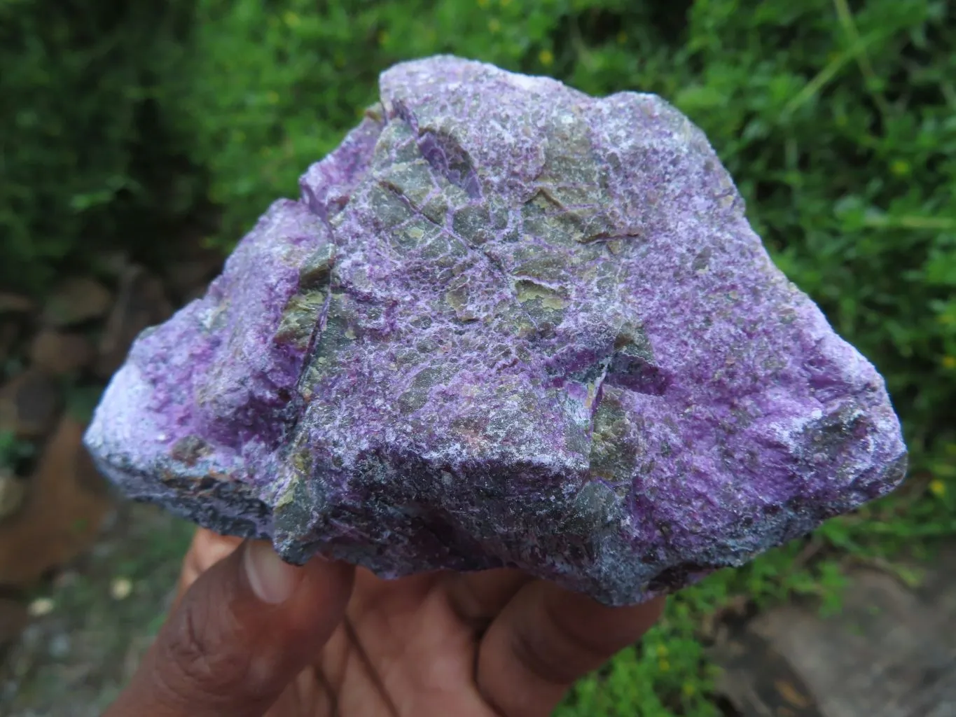 Natural Silky Purple Stichtite Rough Selected Pieces x 12 From Barberton, South Africa