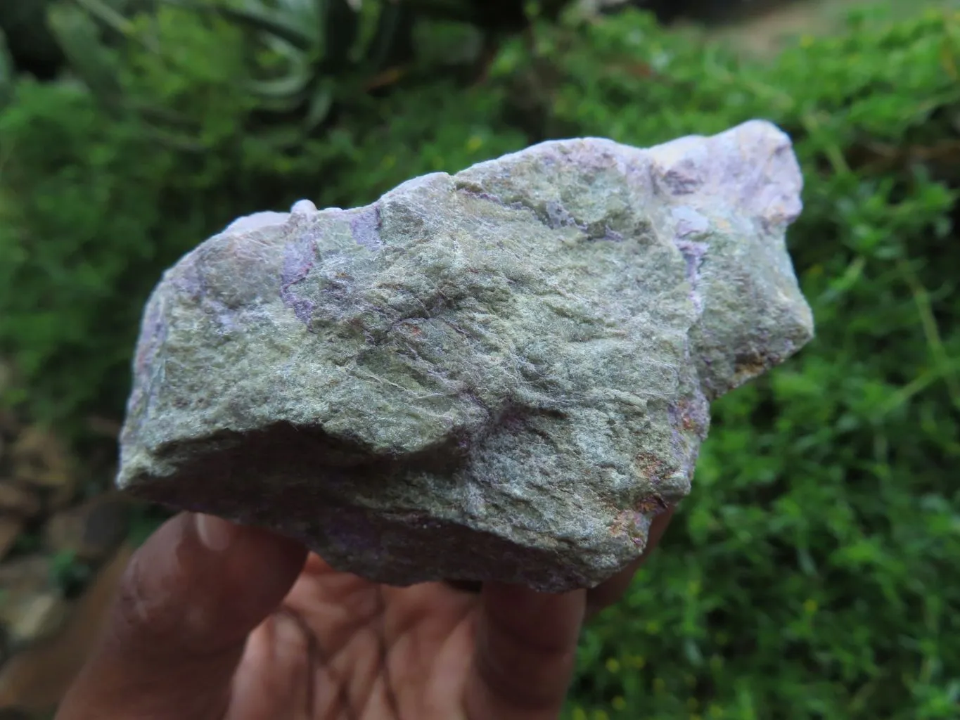 Natural Silky Purple Stichtite Rough Selected Pieces x 12 From Barberton, South Africa