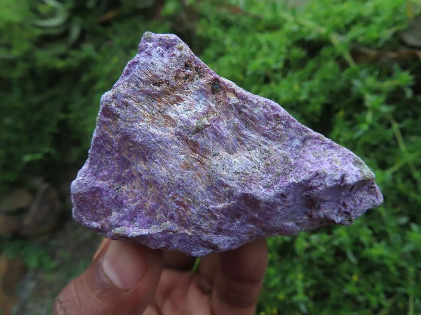 Natural Silky Purple Stichtite Rough Selected Pieces x 12 From Barberton, South Africa