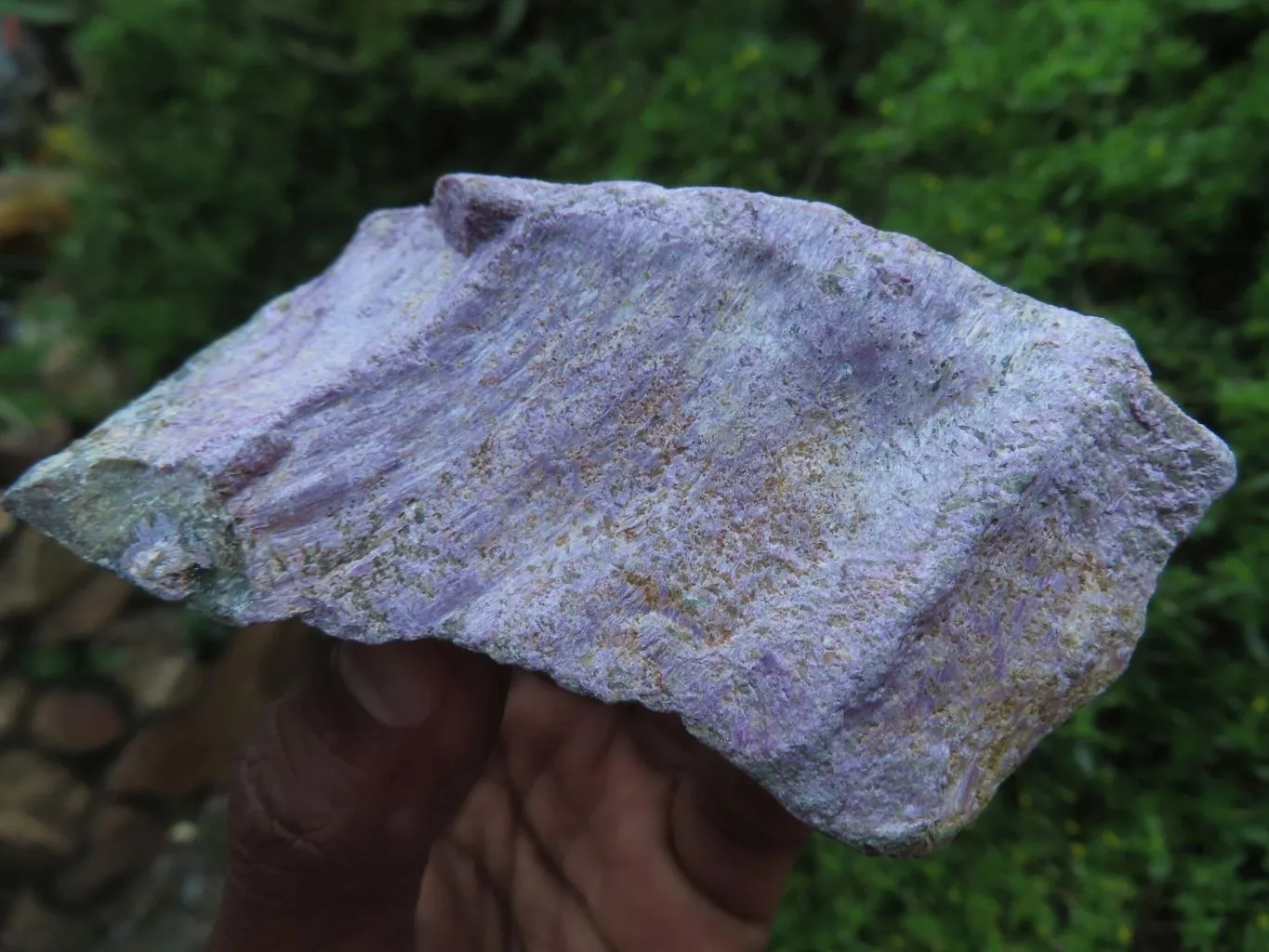 Natural Silky Purple Stichtite Rough Selected Pieces x 12 From Barberton, South Africa