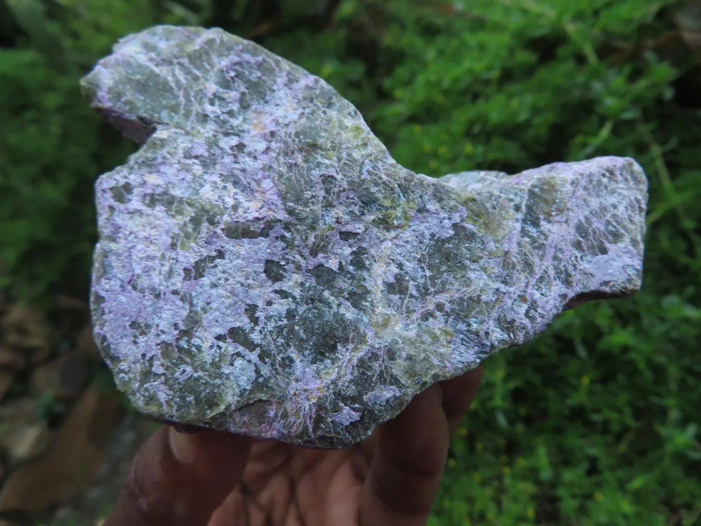 Natural Silky Purple Stichtite Rough Selected Pieces x 12 From Barberton, South Africa