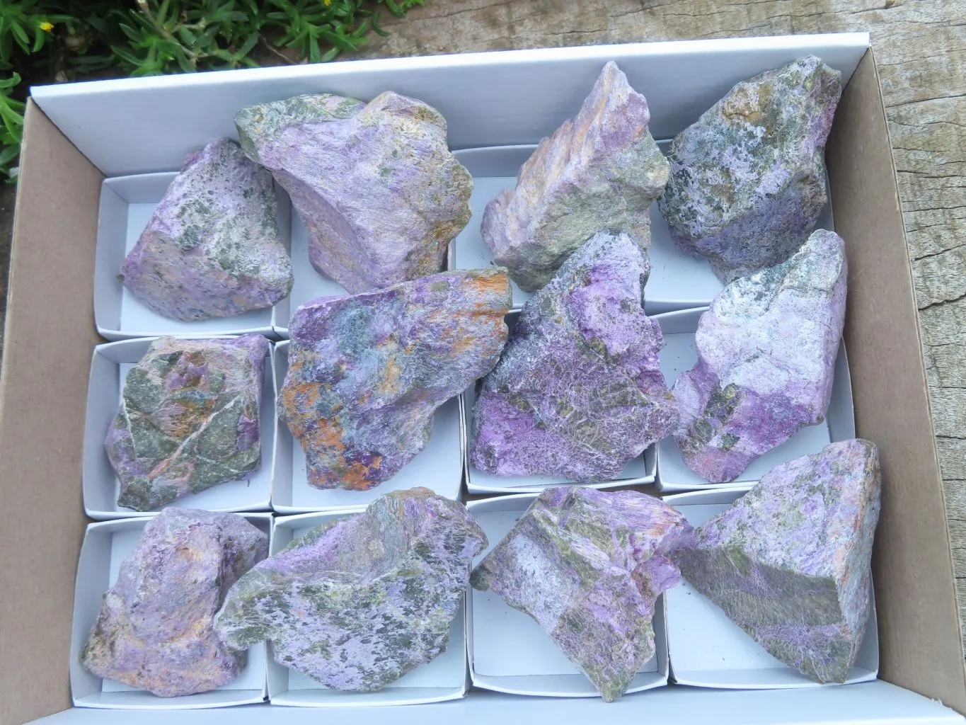 Natural Silky Purple Stichtite Rough Selected Pieces x 12 From Barberton, South Africa