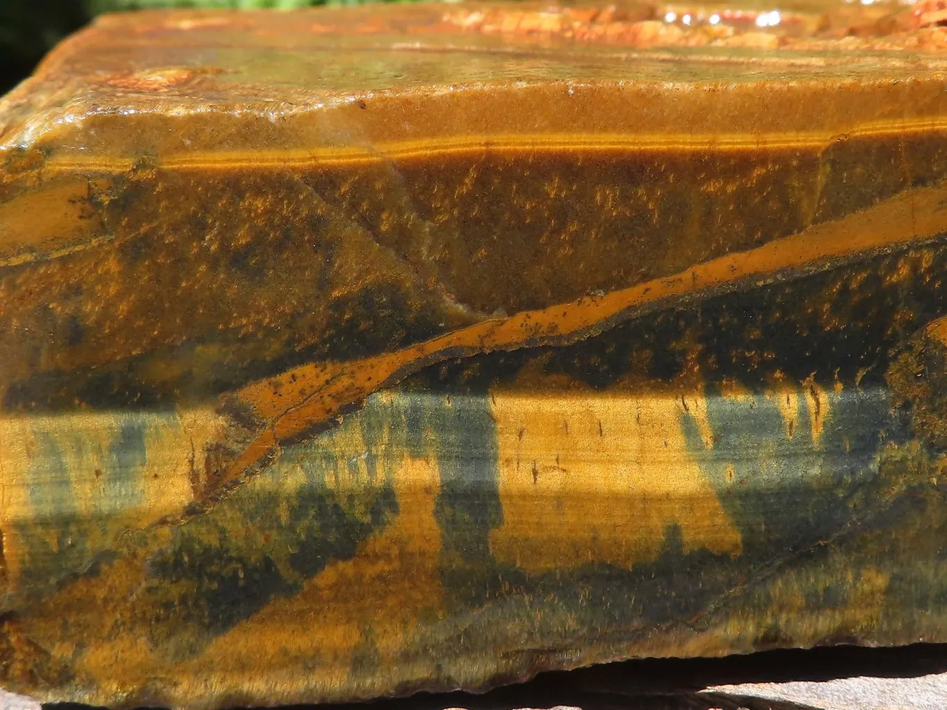 Natural Sliced Golden Blue Tigers Eye Specimen x 1 From Prieska, South Africa