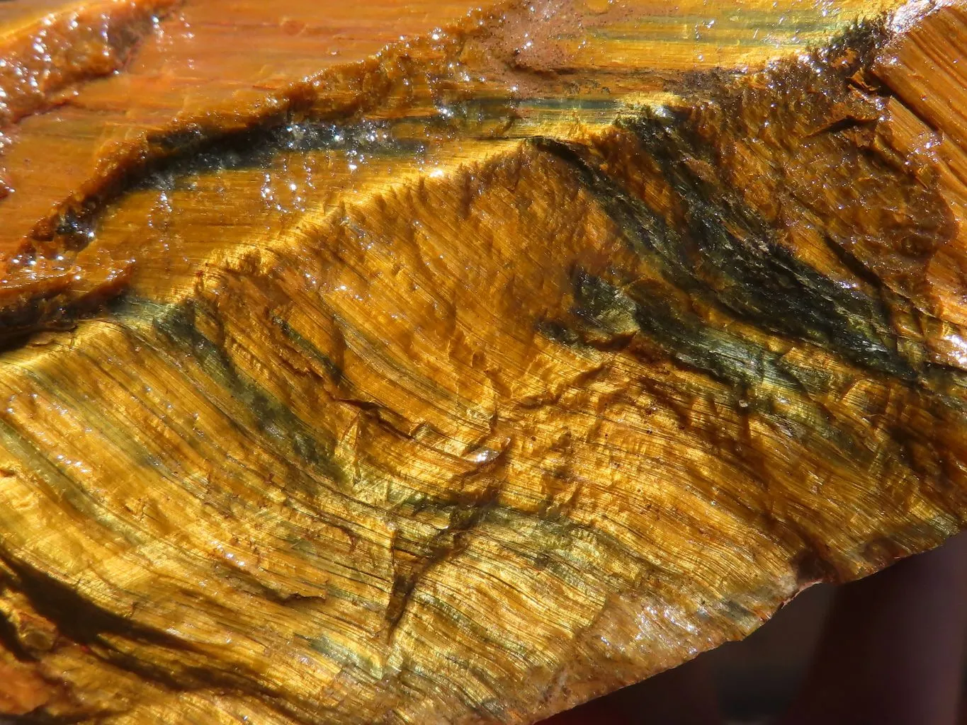 Natural Sliced Golden Blue Tigers Eye Specimen x 1 From Prieska, South Africa