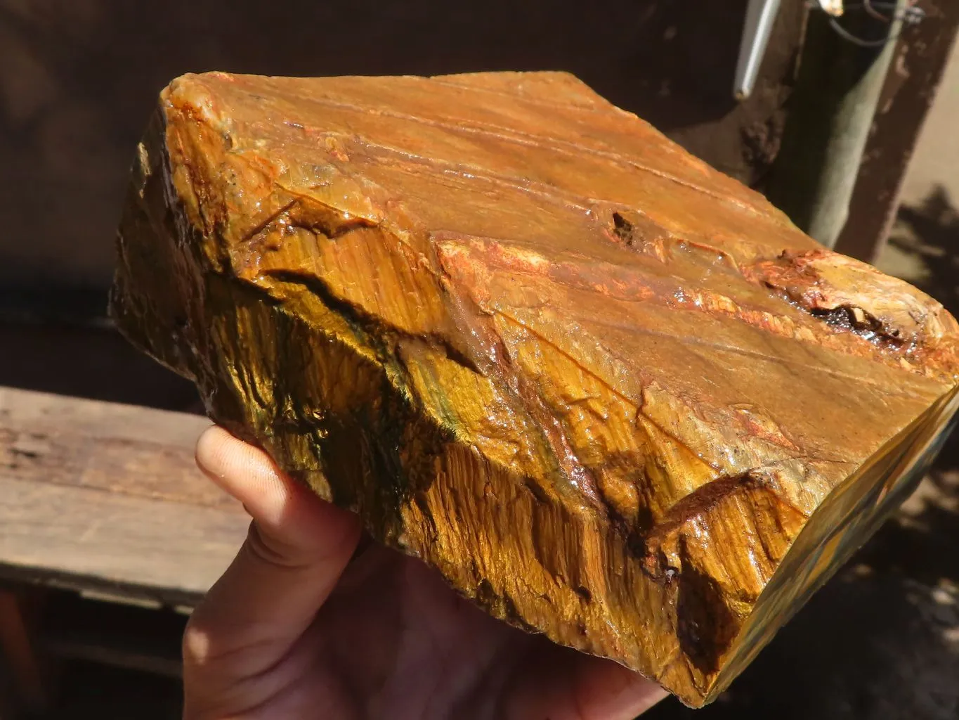 Natural Sliced Golden Blue Tigers Eye Specimen x 1 From Prieska, South Africa