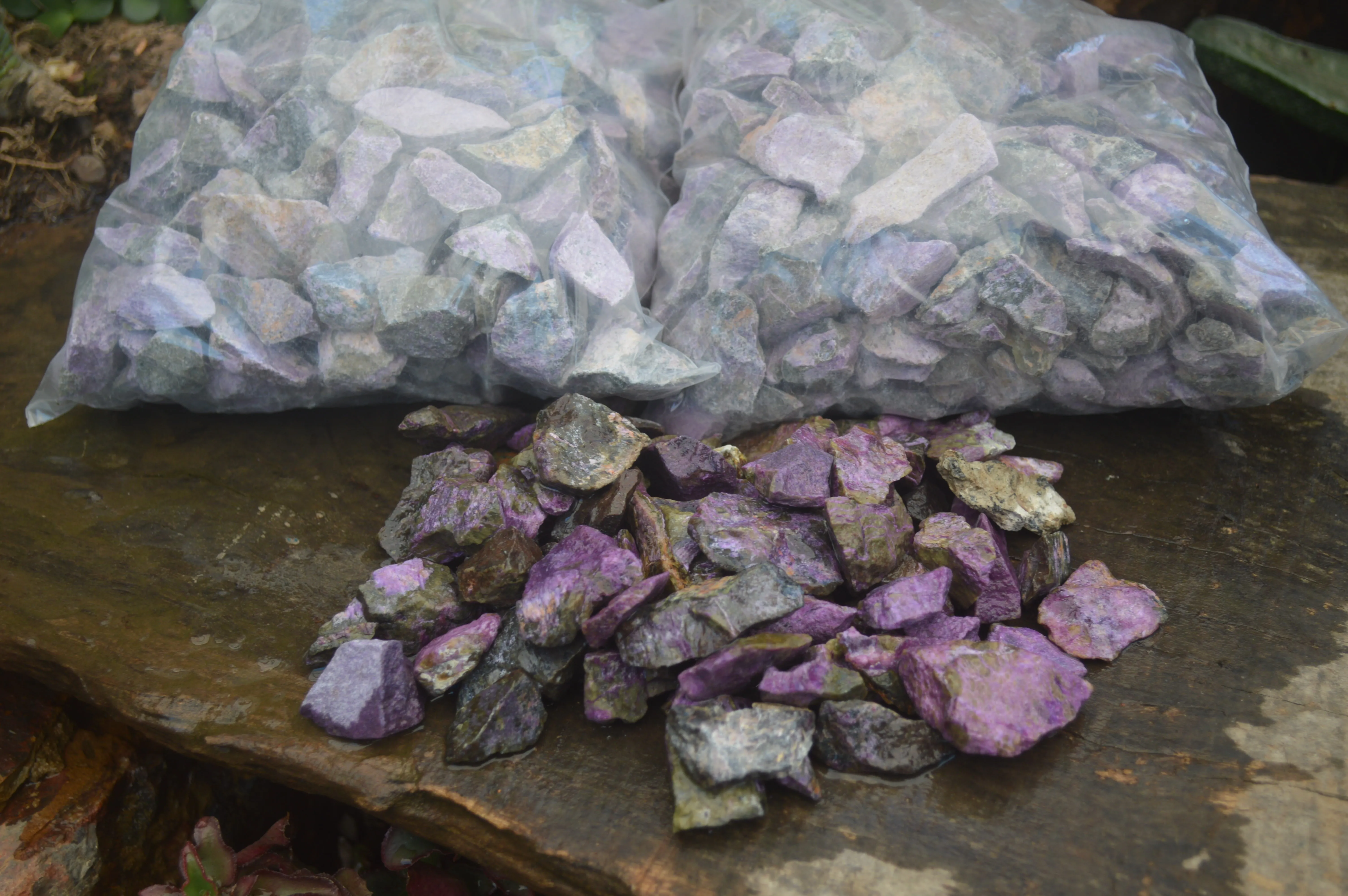 Natural Small Purple Stichtite & Green Serpentine Cobbed Pieces  - Sold per 2 kg (400-600 pieces) - From Barberton, South Africa