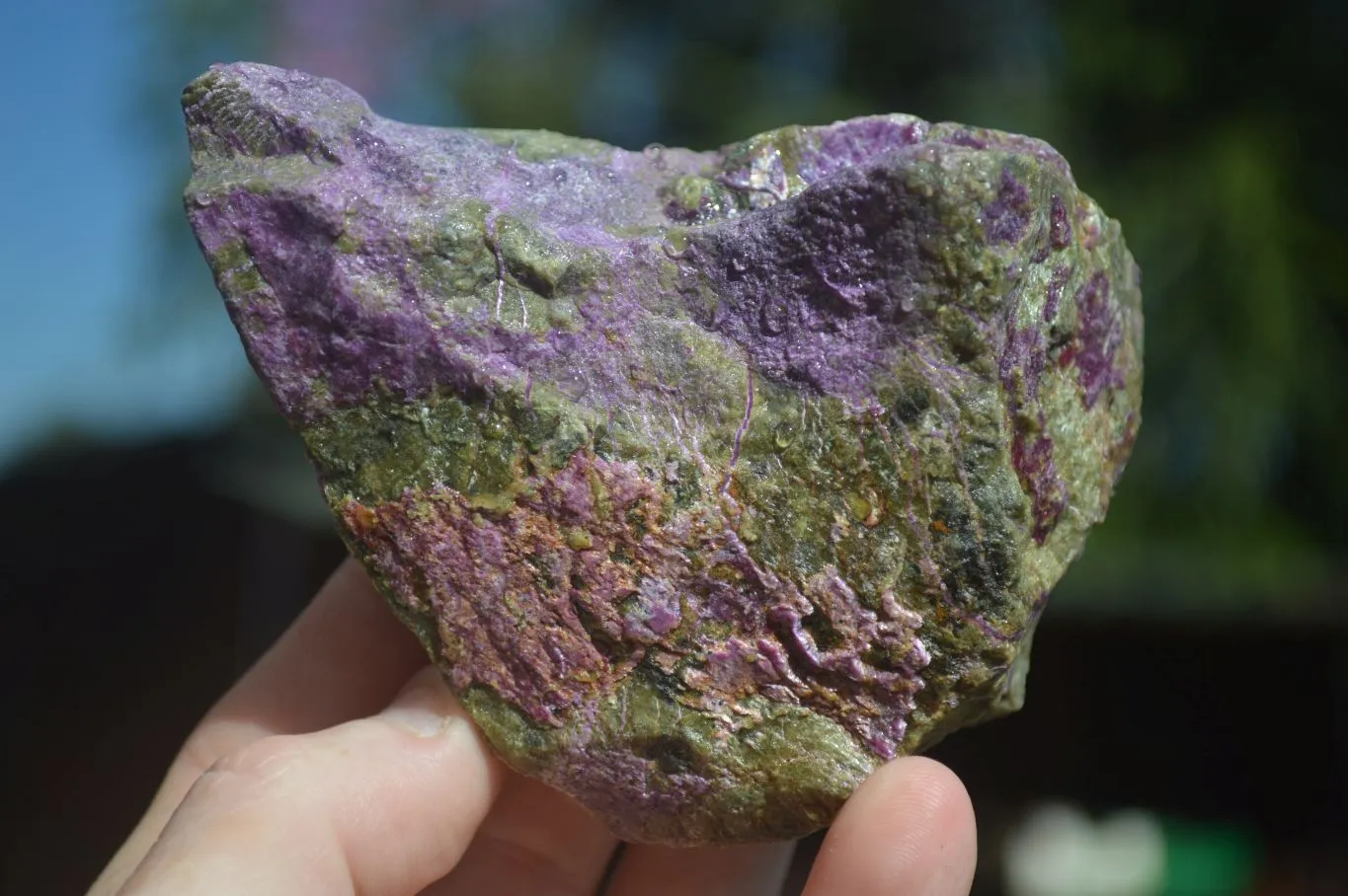 Natural Stichtite & Serpentine Cobbed Specimens x 12 From Barberton, South Africa