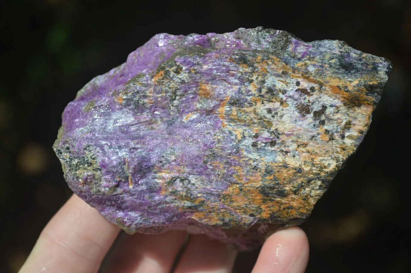 Natural Stichtite & Serpentine Cobbed Specimens x 12 From Barberton, South Africa