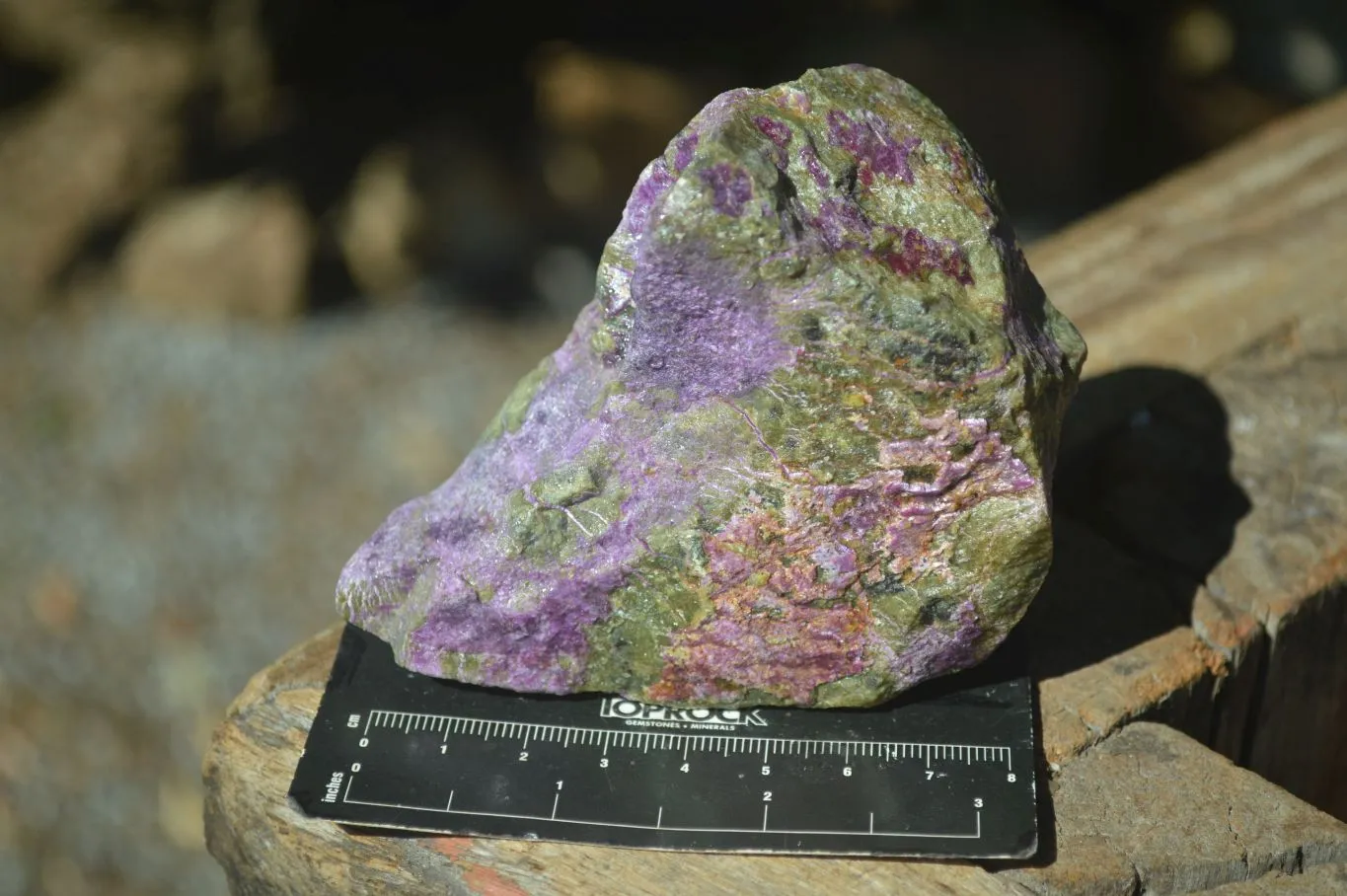 Natural Stichtite & Serpentine Cobbed Specimens x 12 From Barberton, South Africa