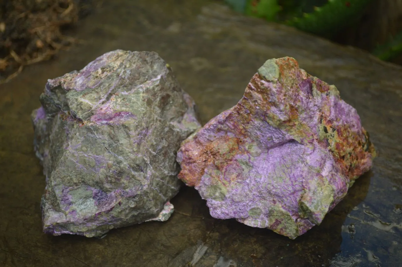 Natural Stichtite & Serpentine Cobbed Specimens x 12 From Barberton, South Africa