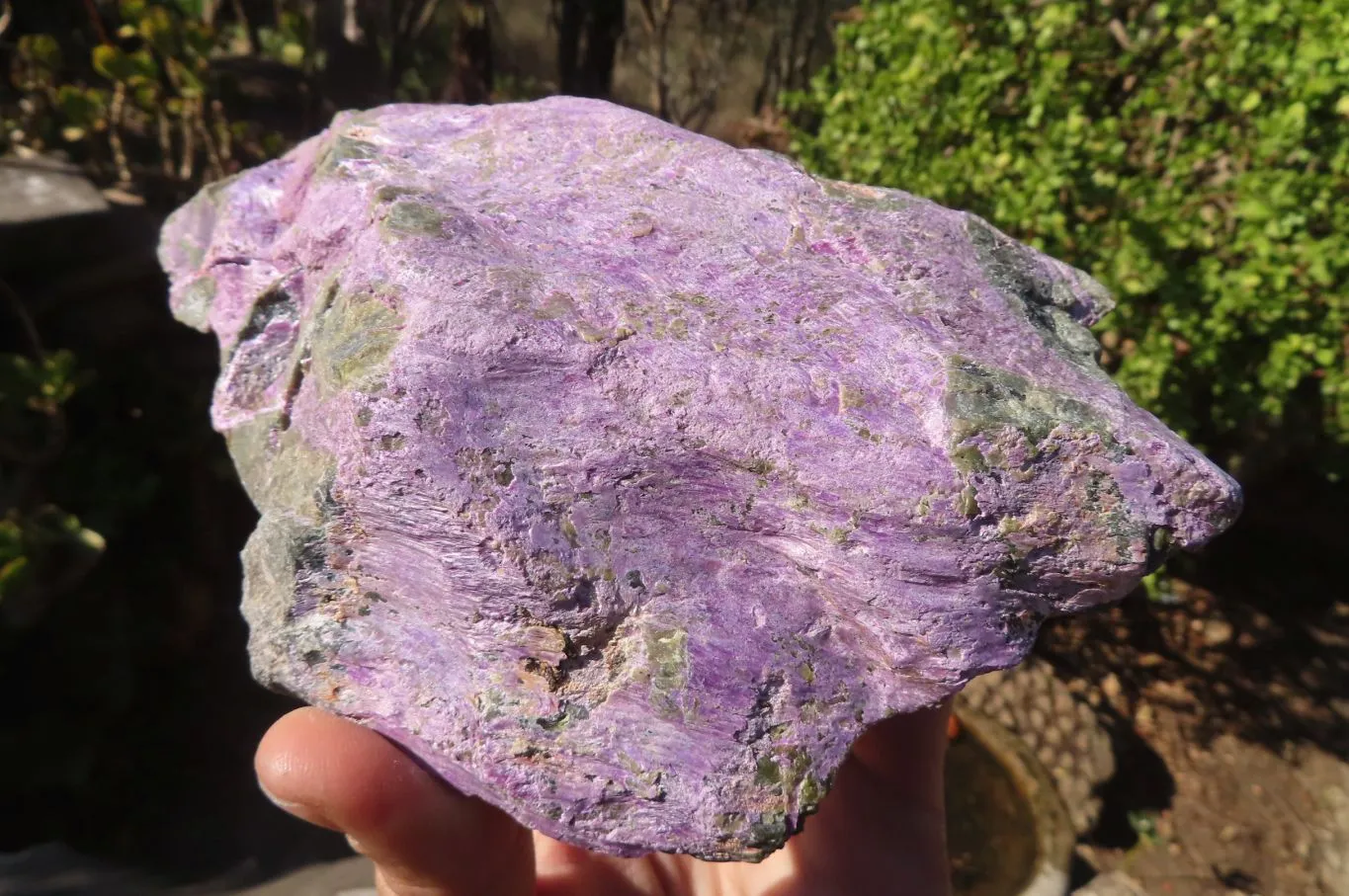 Natural Stichtite & Serpentine Specimens x 2 From Barberton, South Africa