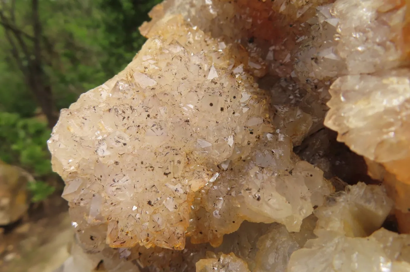 Natural Zululand Agate Geode Specimen x 1 from Jozini, South Africa