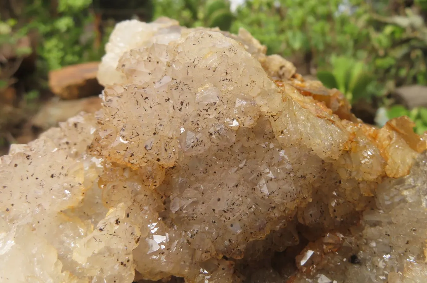 Natural Zululand Agate Geode Specimen x 1 from Jozini, South Africa