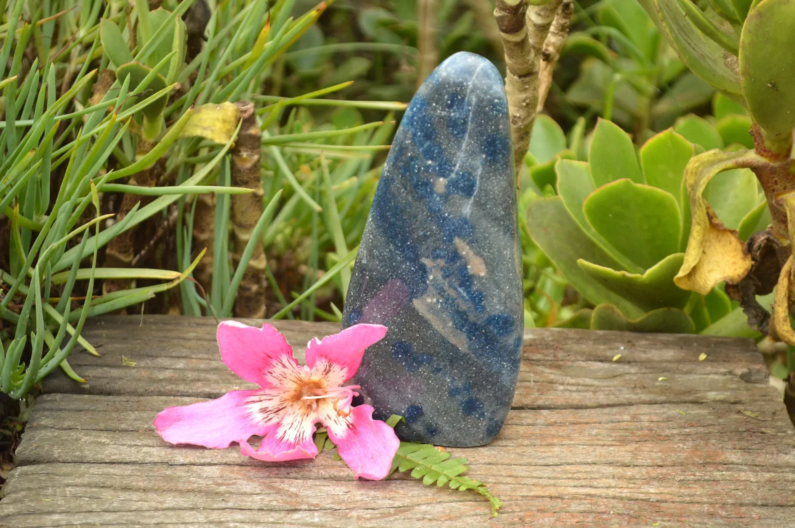 Polished Blue Spotted Spinel "Dalmatian Stone" Standing Free Form x 1 From Madagascar