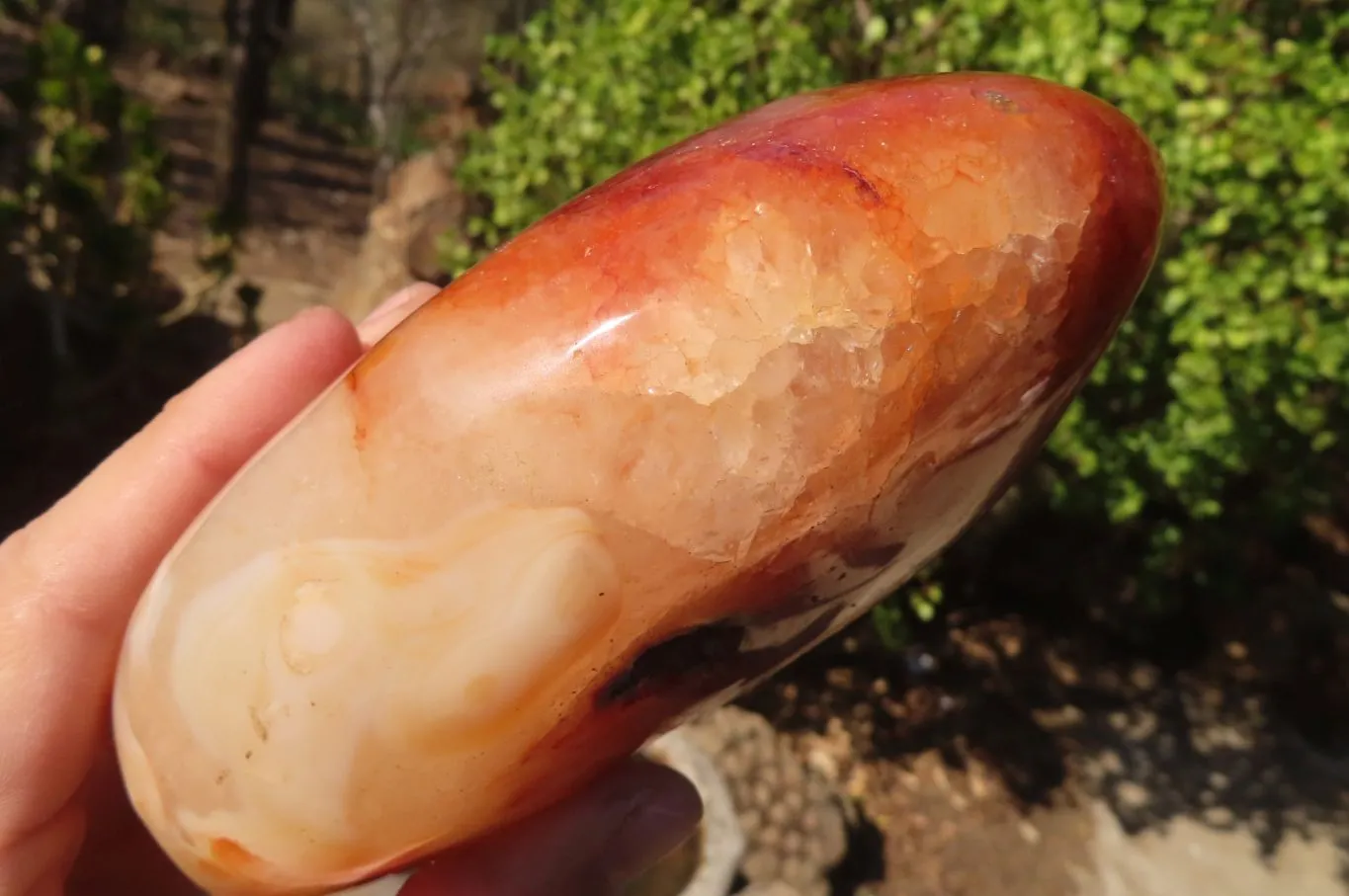 Polished Carnelian Agate Standing Free Form  x 1 From Madagascar