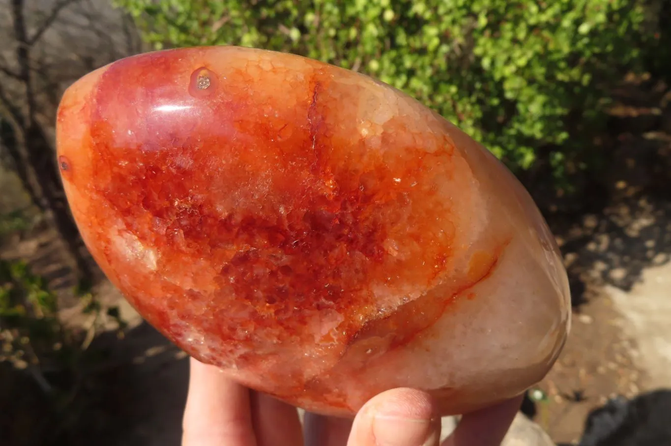 Polished Carnelian Agate Standing Free Form  x 1 From Madagascar