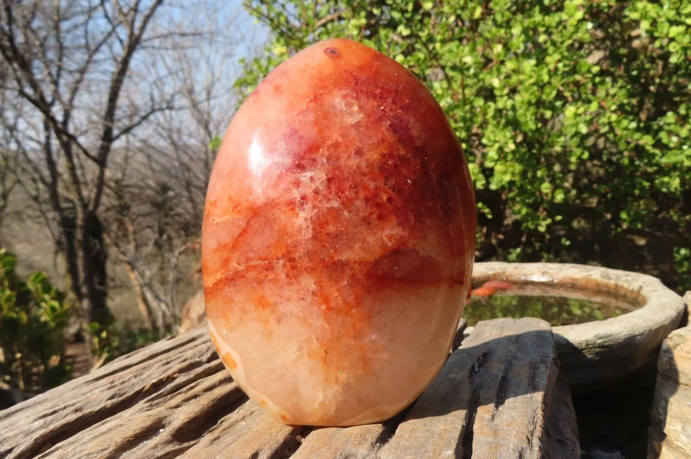 Polished Carnelian Agate Standing Free Form  x 1 From Madagascar