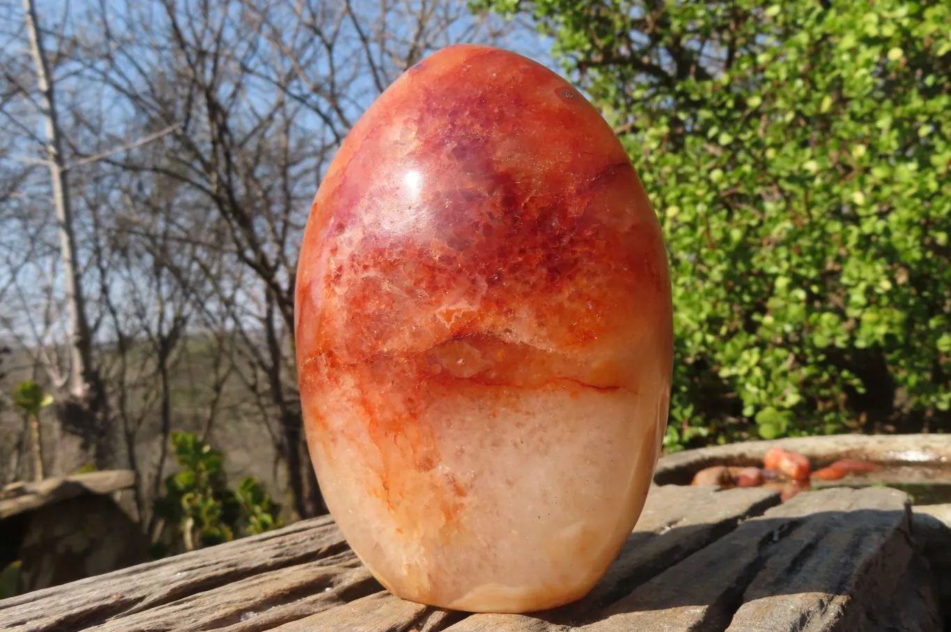 Polished Carnelian Agate Standing Free Form  x 1 From Madagascar