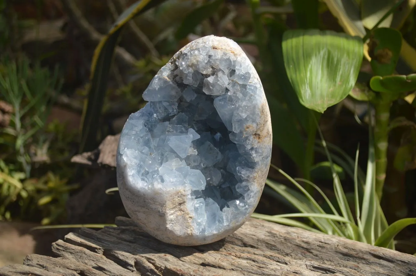 Polished Celestite Egg Geode x 1 From Sakoany, Madagascar