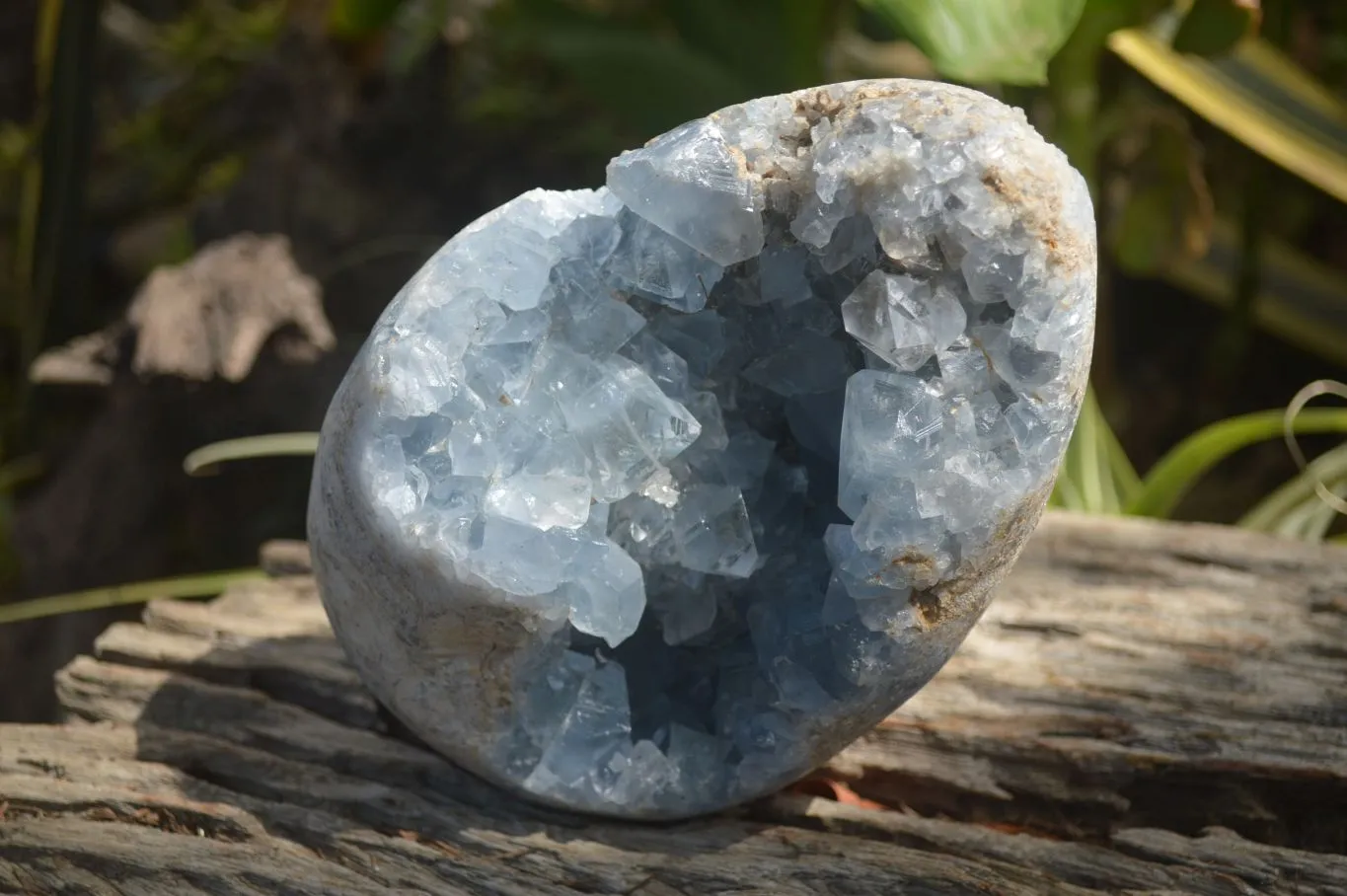 Polished Celestite Egg Geode x 1 From Sakoany, Madagascar