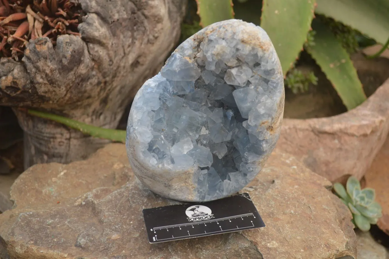 Polished Celestite Egg Geode x 1 From Sakoany, Madagascar