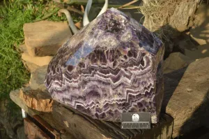 Polished Chevron Amethyst Point With Geode Vugs x 1 From Zambia