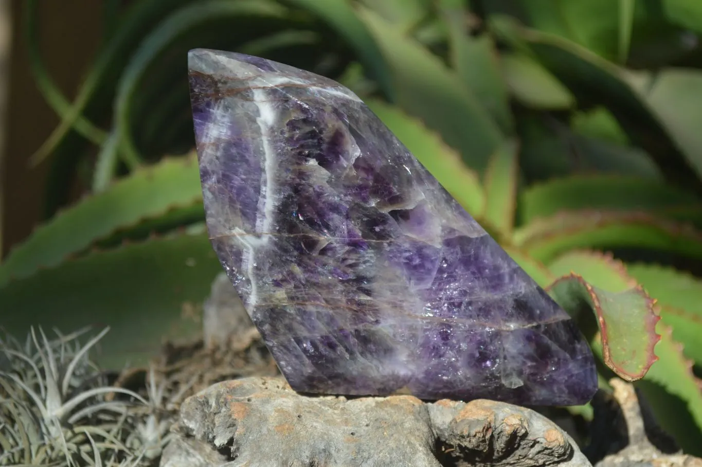 Polished Chevron Amethyst Point x 1 From Zambia